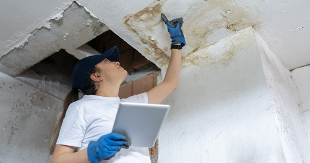 water damage zone and restoration