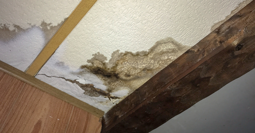 water damage zone and restoration