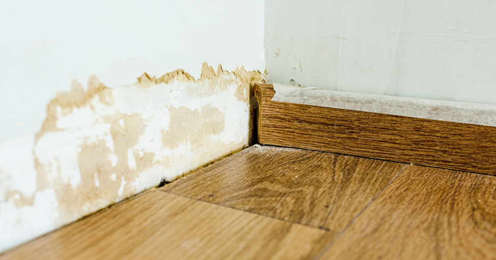water damage zone and restoration